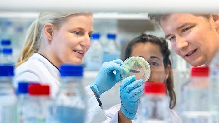 Researchers looking at a petri dish in a laboratory at “Rechts der Isar” hospital