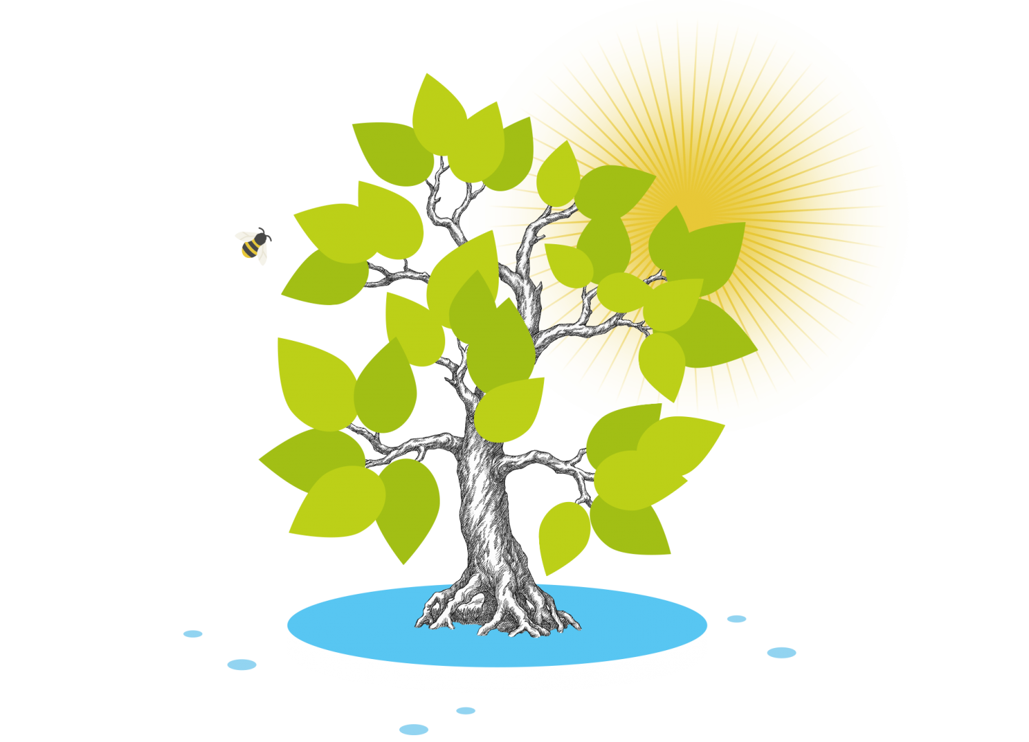 Symbolbild Photosynthese mit Baum und Sonne