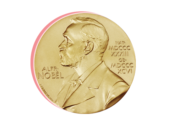 Nobel prize medal