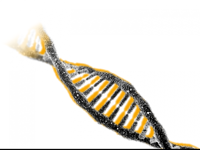 Symbolbild: DNA-Doppelhelix