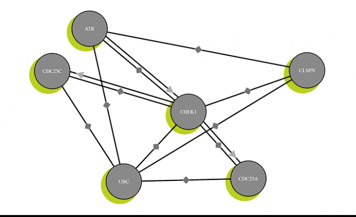 Protein interaction network – visualization using ProteomicsDB