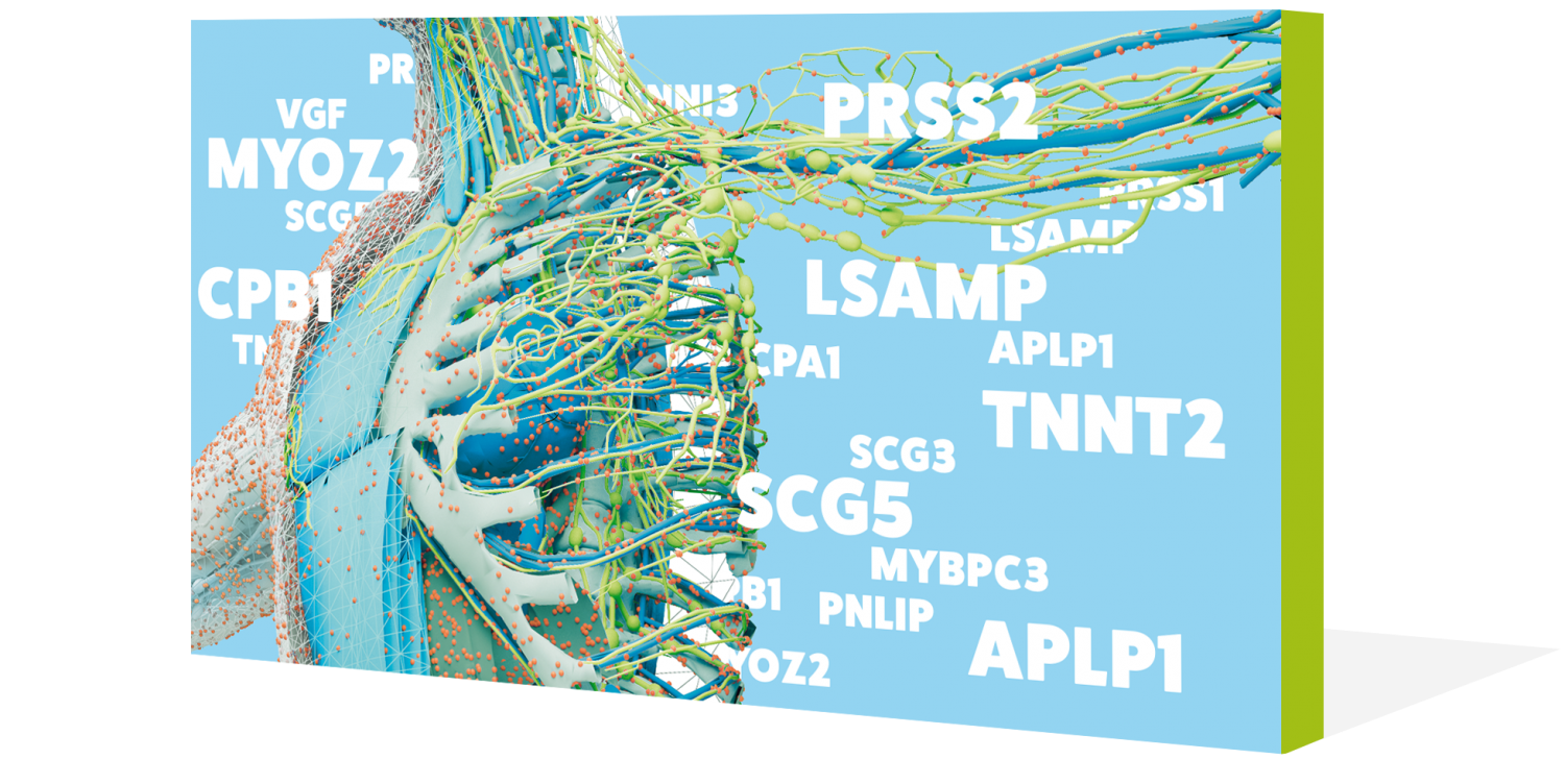 Graphical representation of a'protein map' of the human body